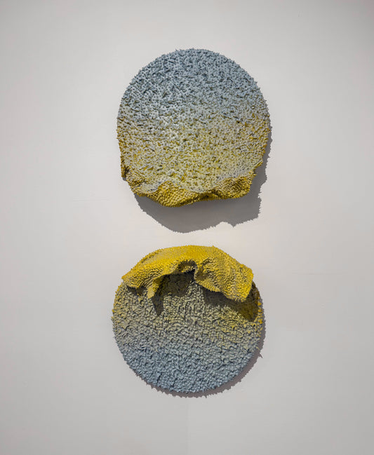 Odd Flowers, 2024