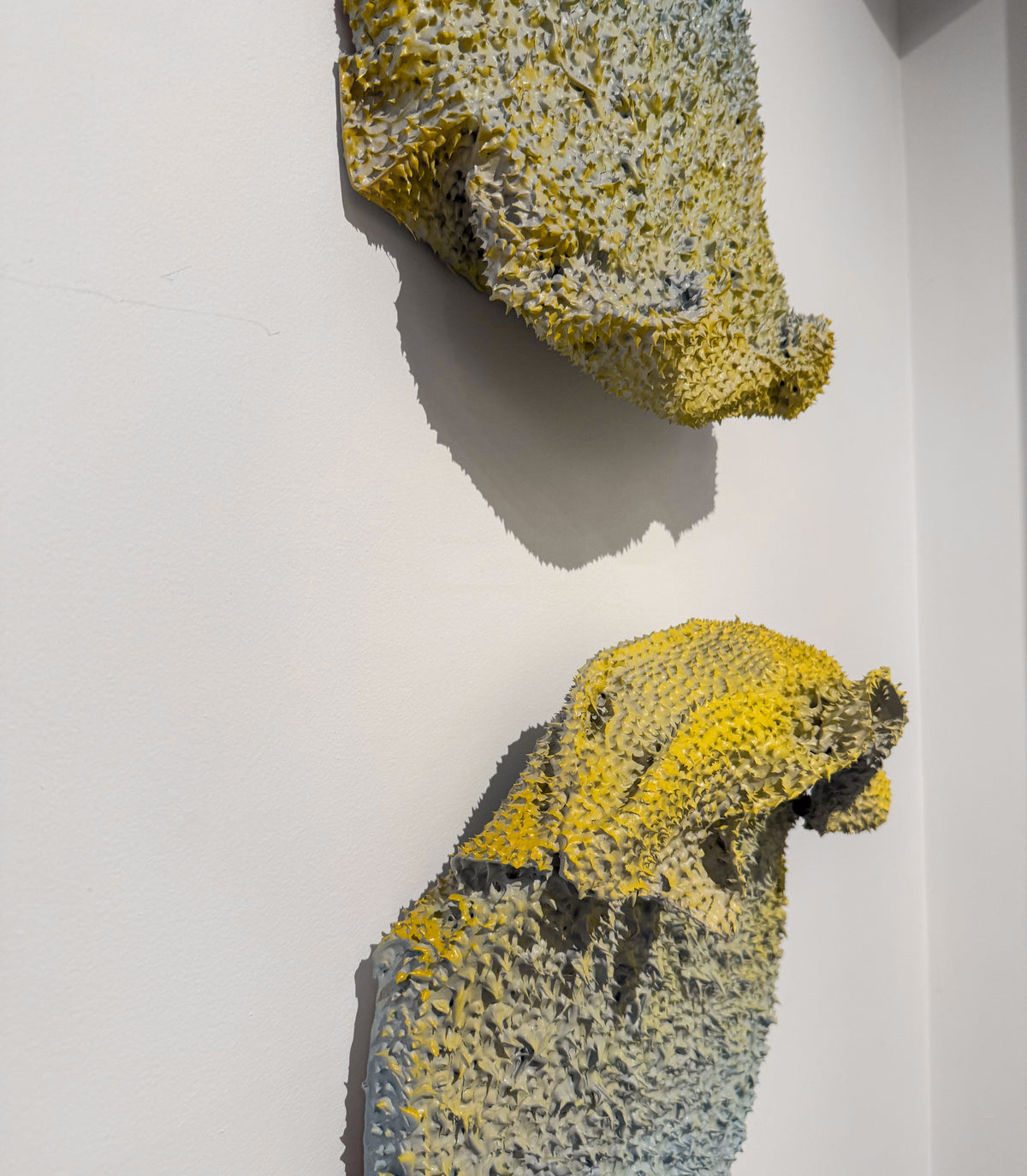 Odd Flowers, 2024