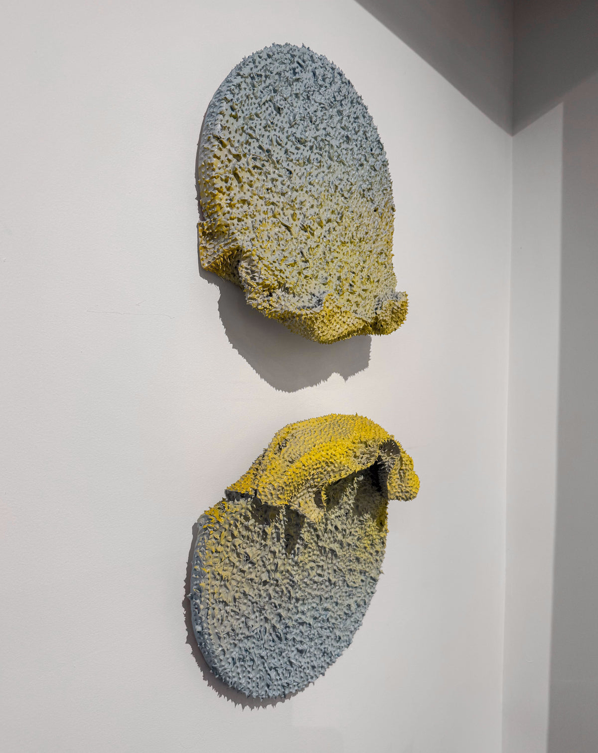 Odd Flowers, 2024
